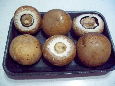 Bella Baby on Baby Bella Mushrooms