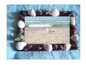 Sea_Shell_Craft