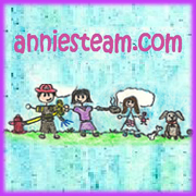 (c) Anniesteam.com